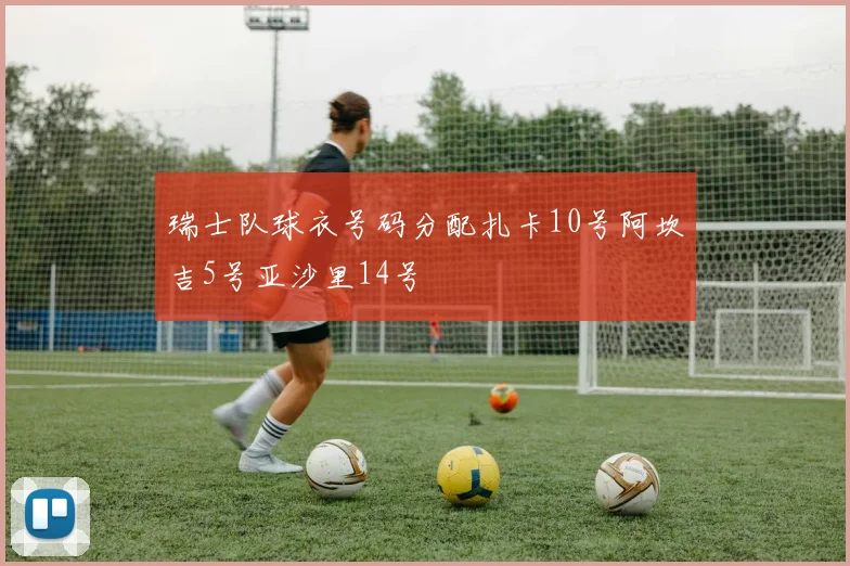 瑞士队球衣号码分配扎卡10号阿坎吉5号亚沙里14号